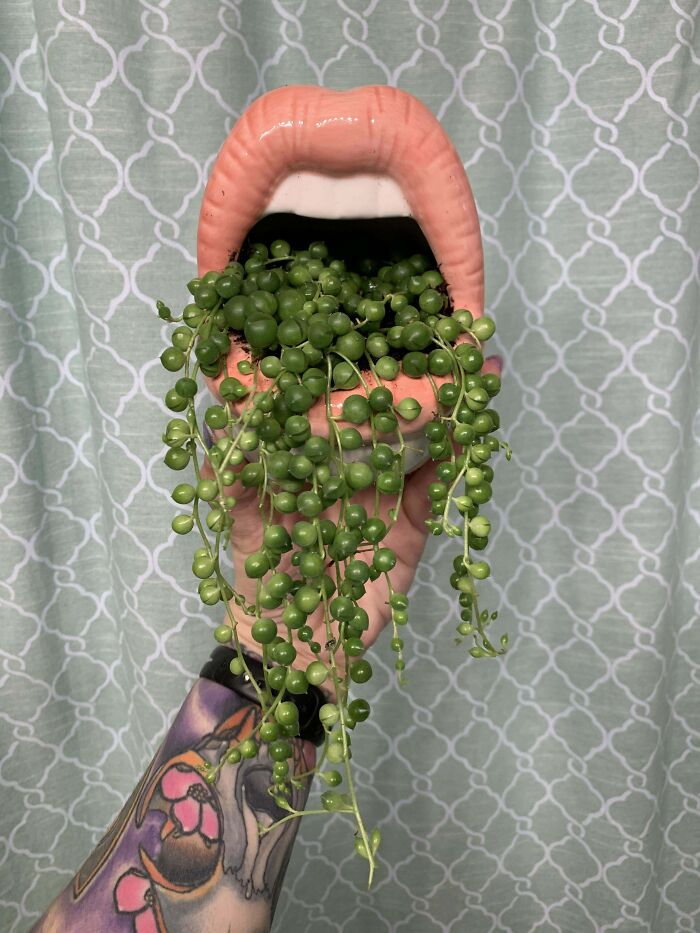 image-20230510110419-12