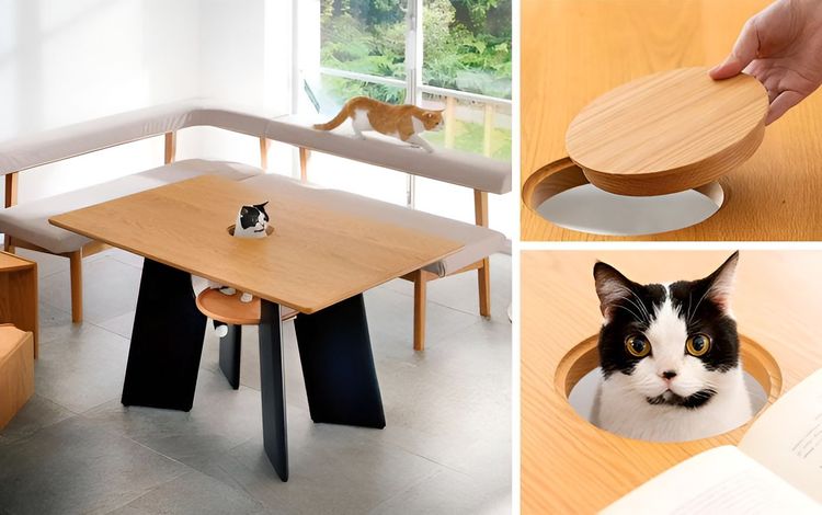 image-20230511163055-13