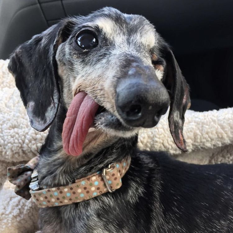 image-20230512125556-12