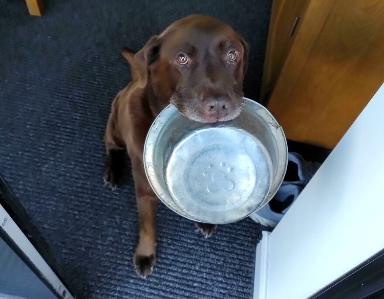 image-20230512125608-16