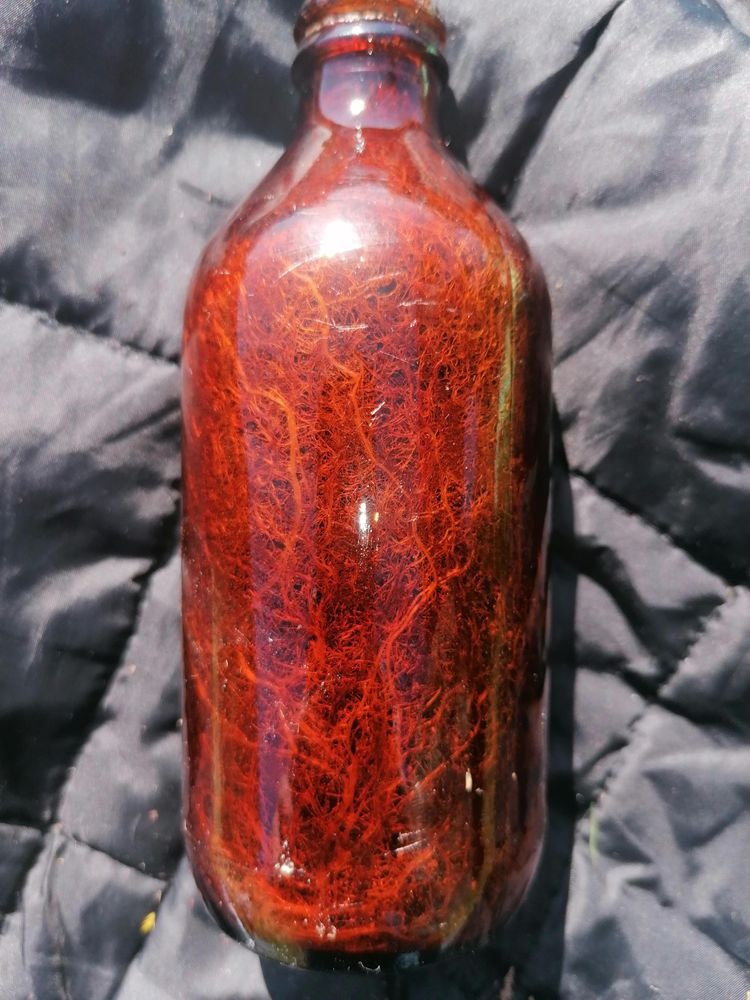 image-20230512150106-4