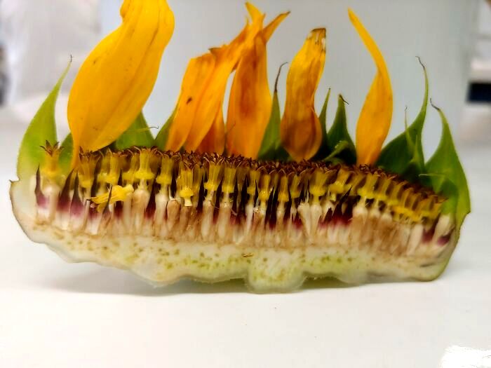 image-20230512150121-9