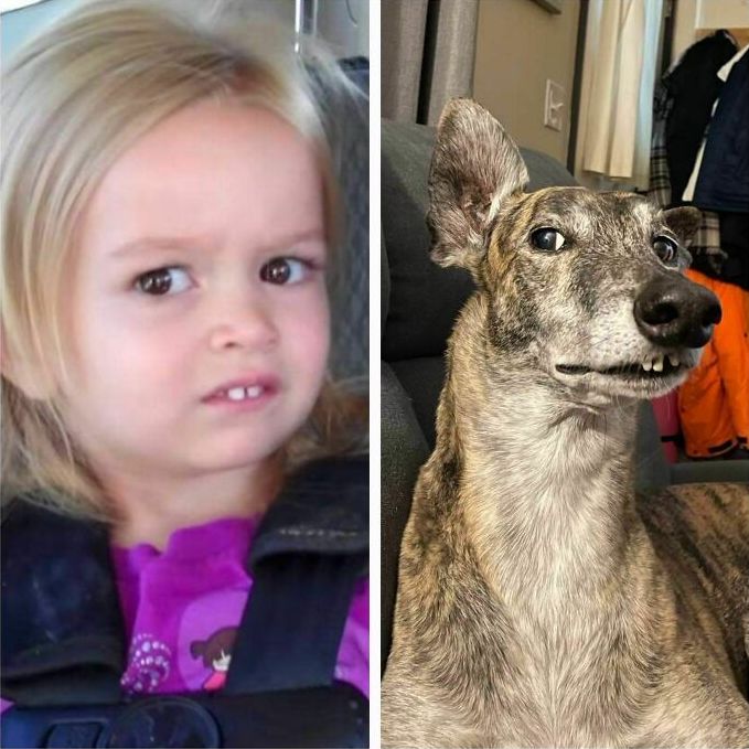 image-20230515123012-1