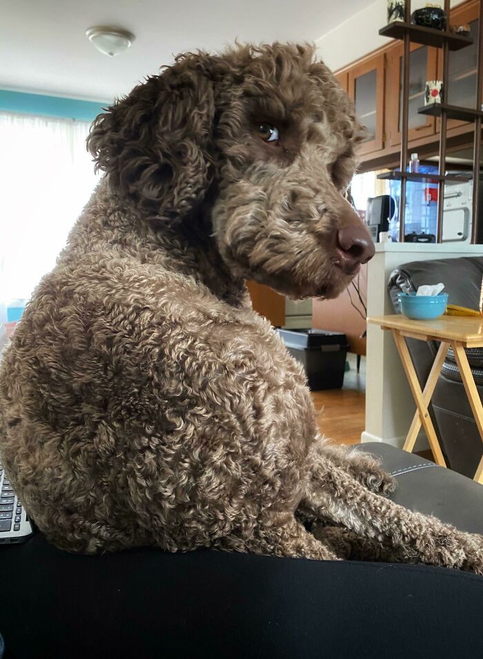 image-20230515123015-2