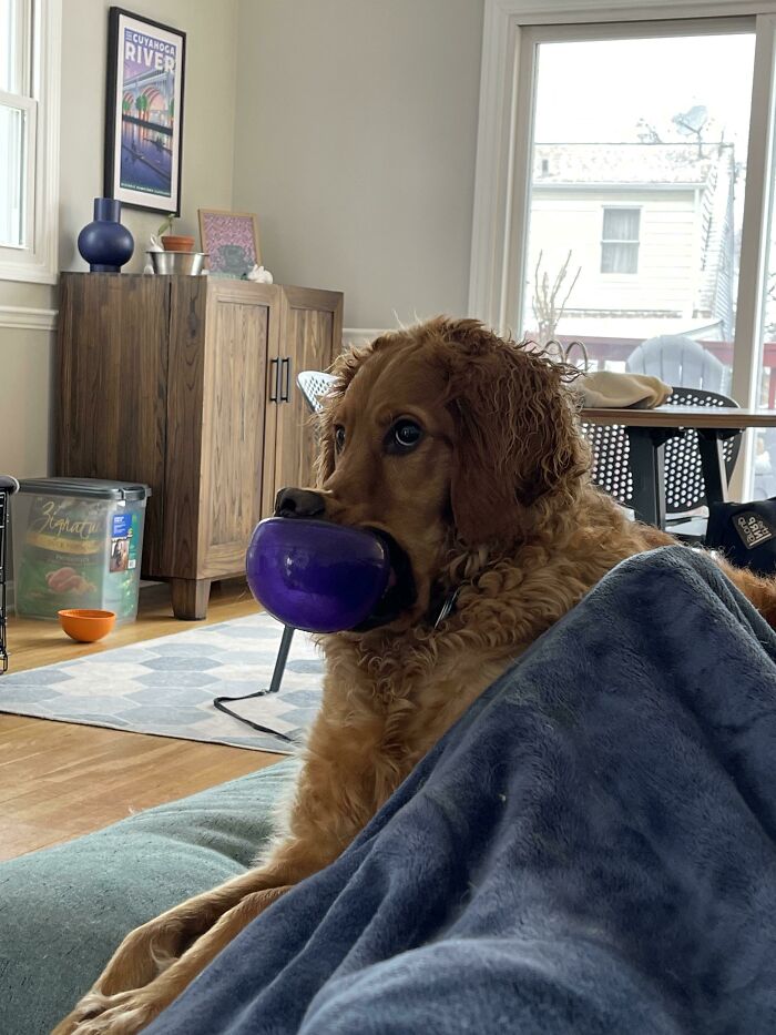 image-20230515123023-4