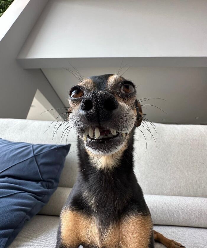 image-20230515123034-7