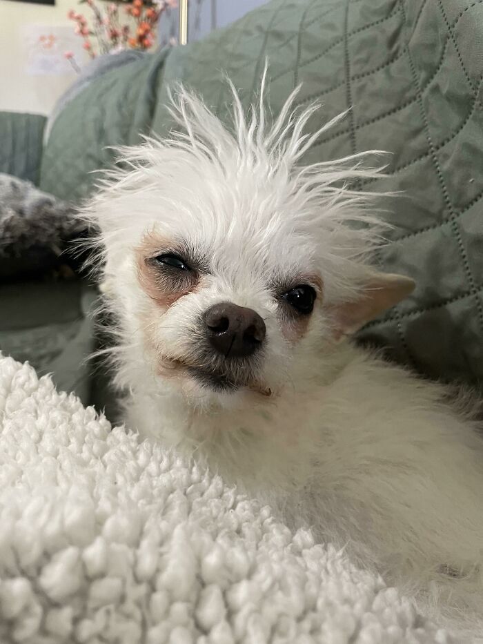 image-20230515123037-8