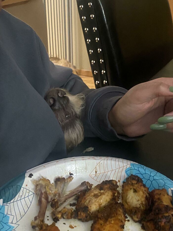 image-20230515123343-12