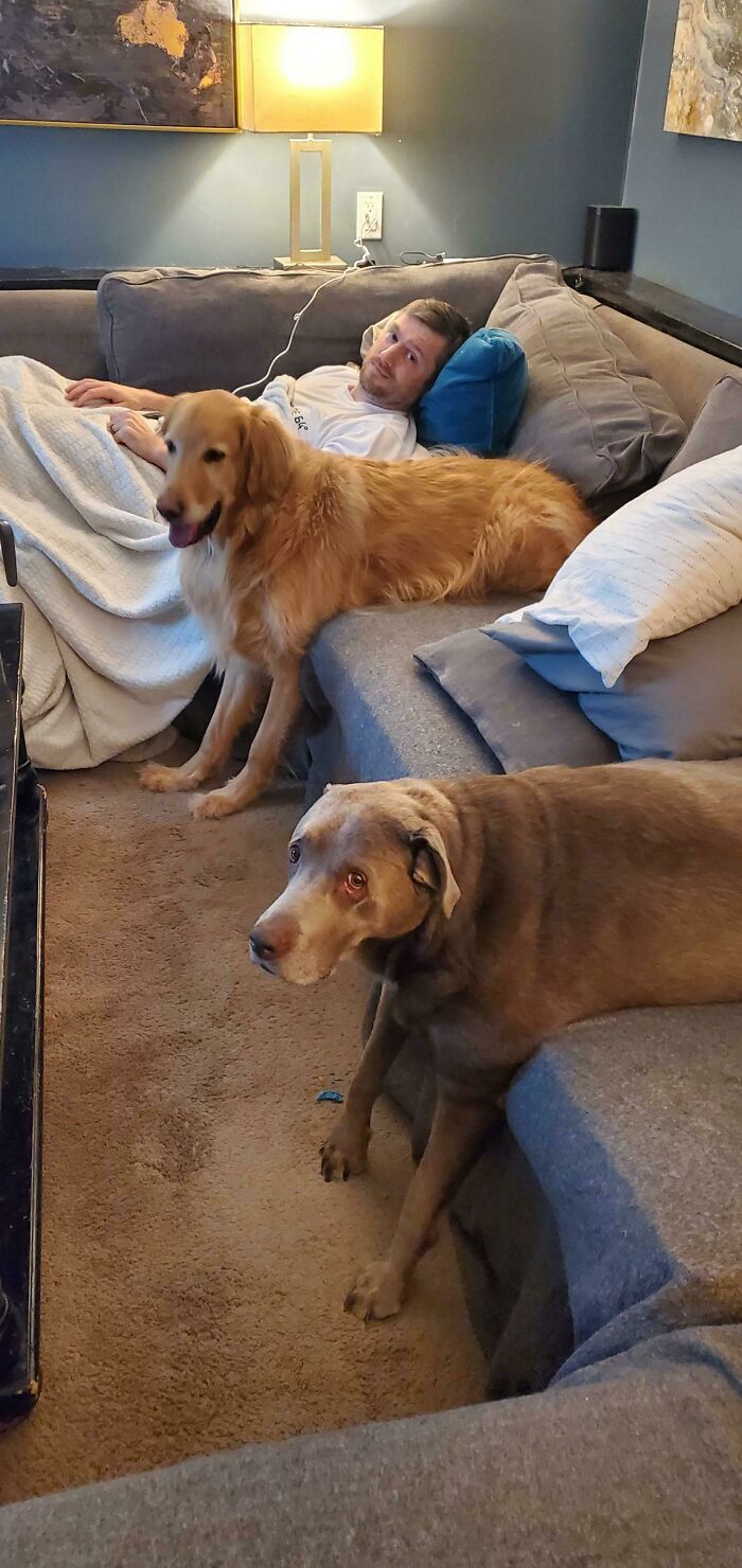 image-20230515123348-13