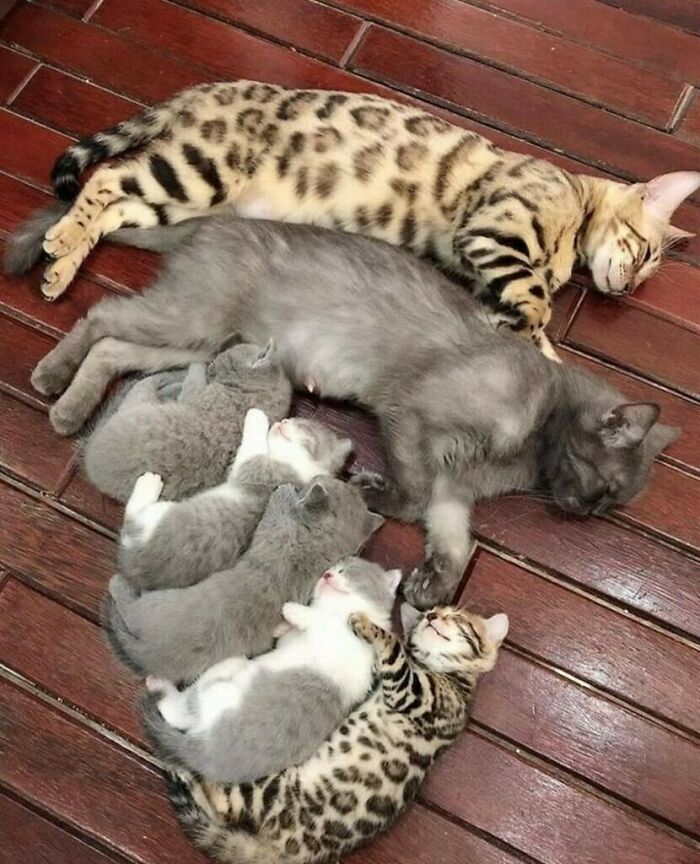 image-20230516122223-4