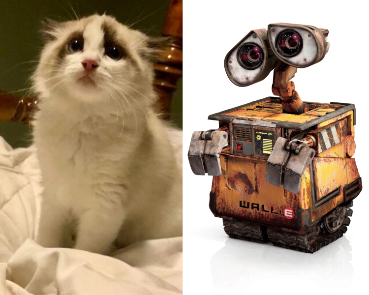 image-20230516122233-7