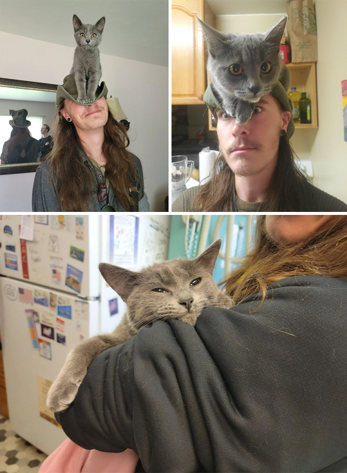 image-20230516122236-8