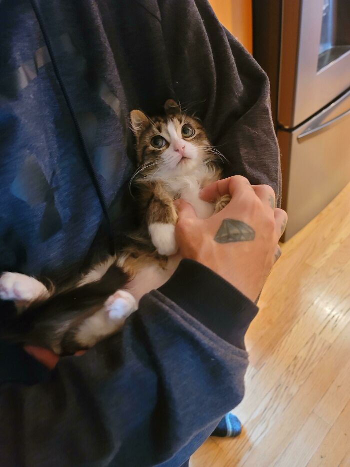 image-20230516122256-11