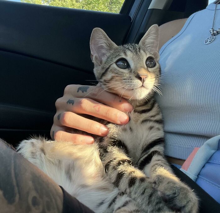 image-20230516122304-13