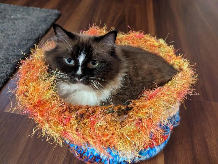 image-20230516141119-7