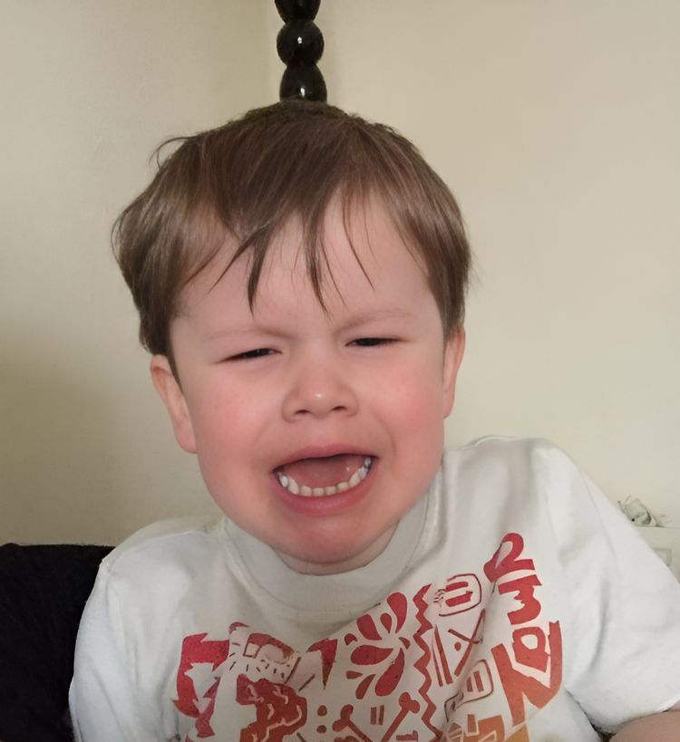 image-20230516153036-19