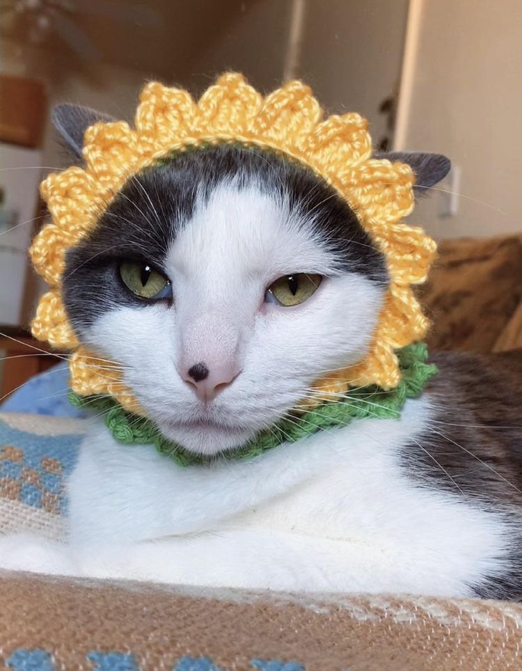 image-20230517162139-10