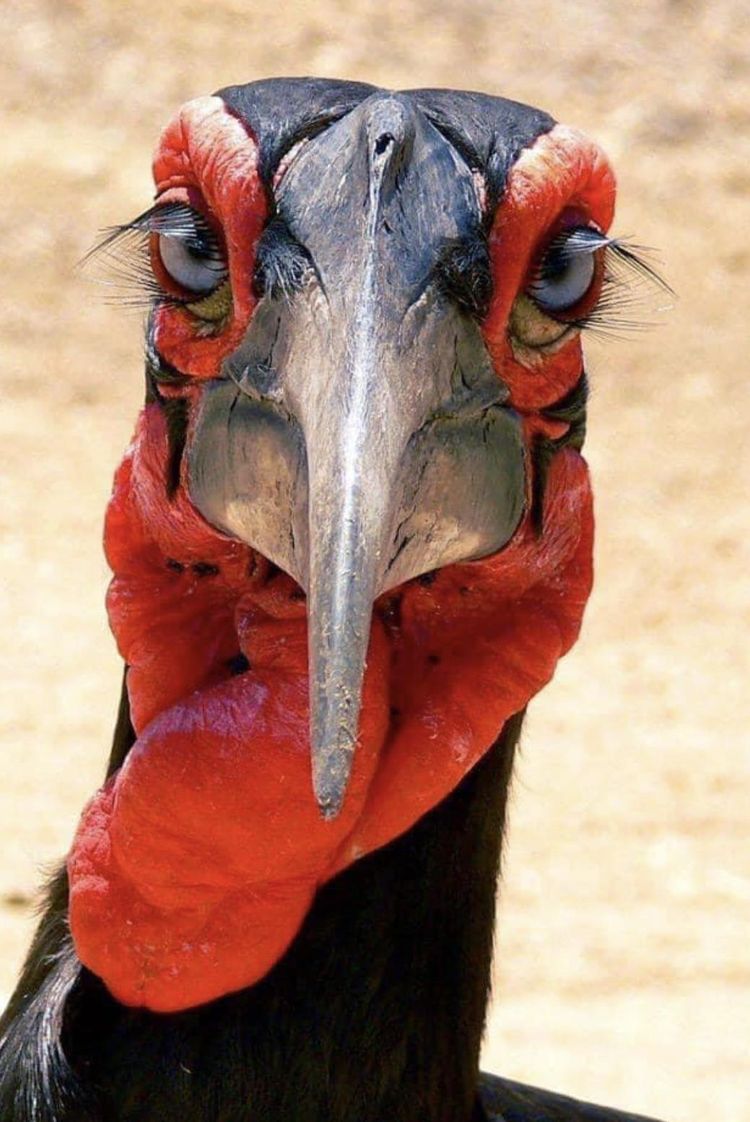 image-20230518120435-16