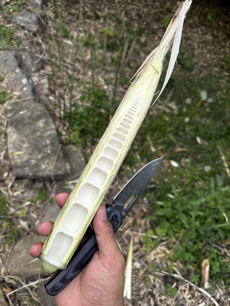 image-20230518172155-11