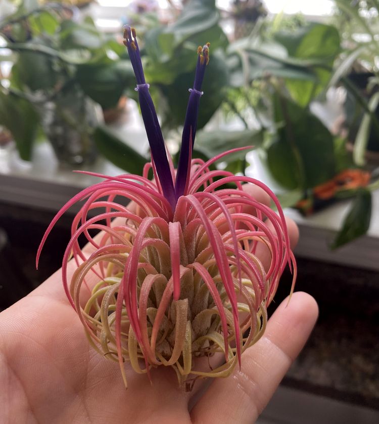 image-20230519121836-2