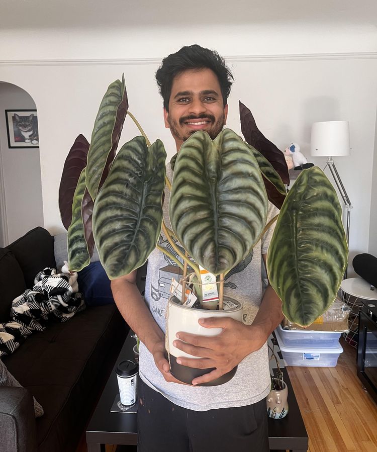 image-20230519121839-3