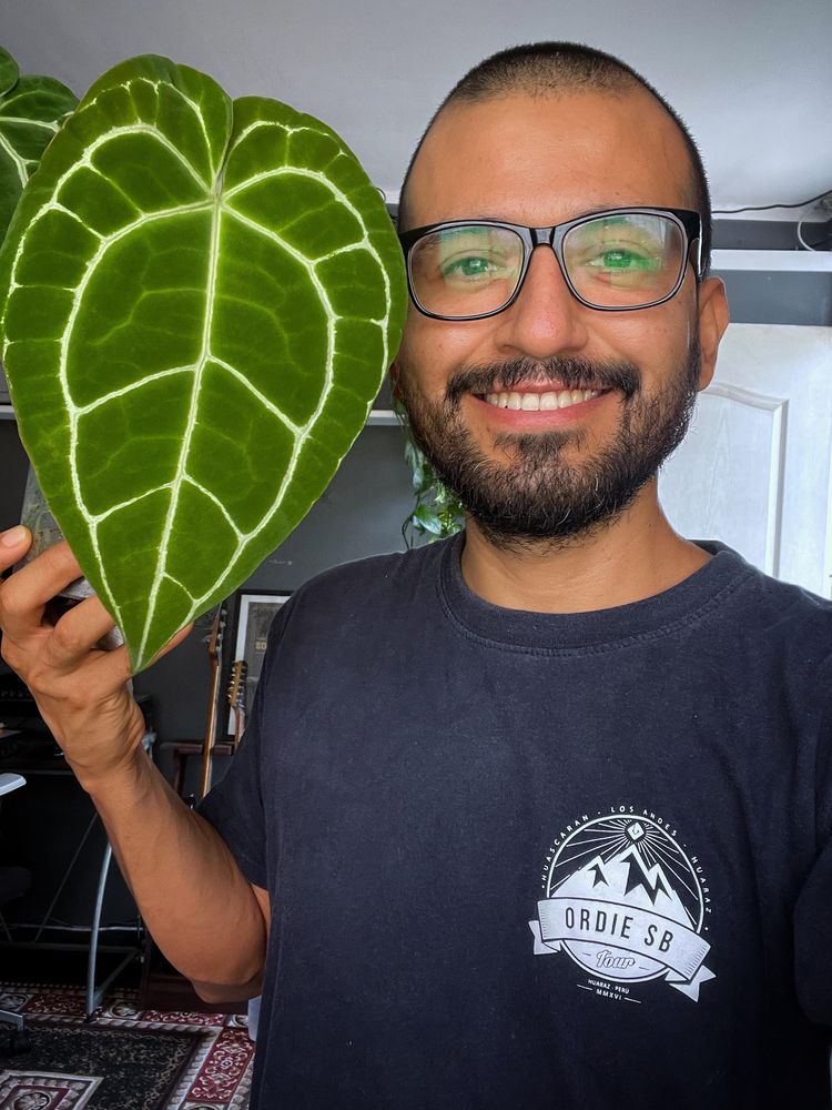 image-20230519121850-6