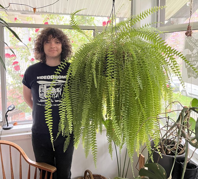 image-20230519121900-9