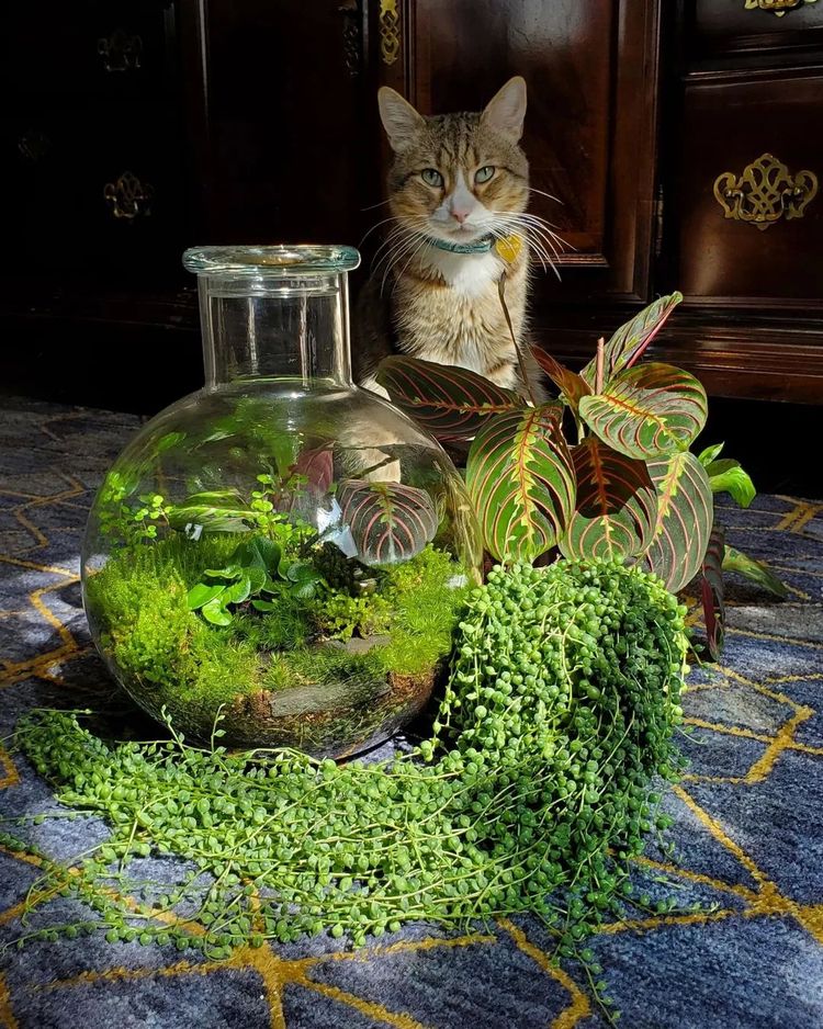 image-20230519121925-11