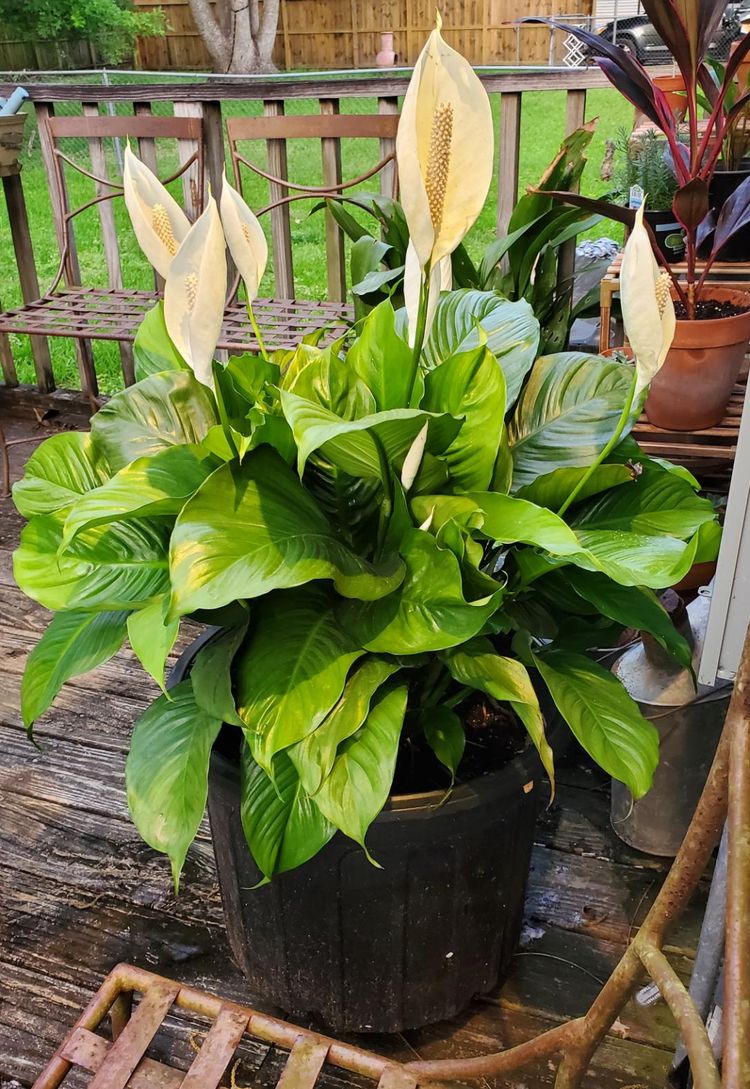 image-20230519121928-12