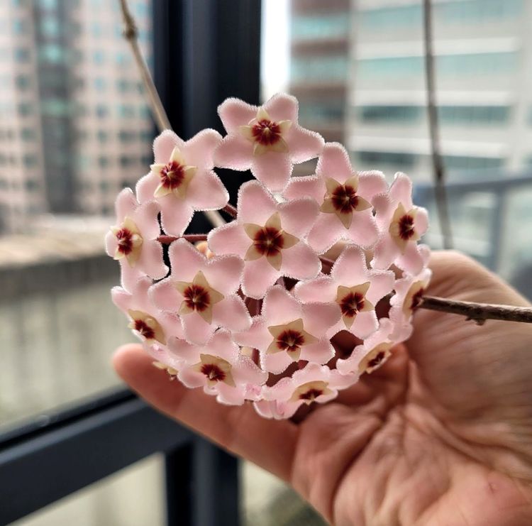 image-20230519121935-14