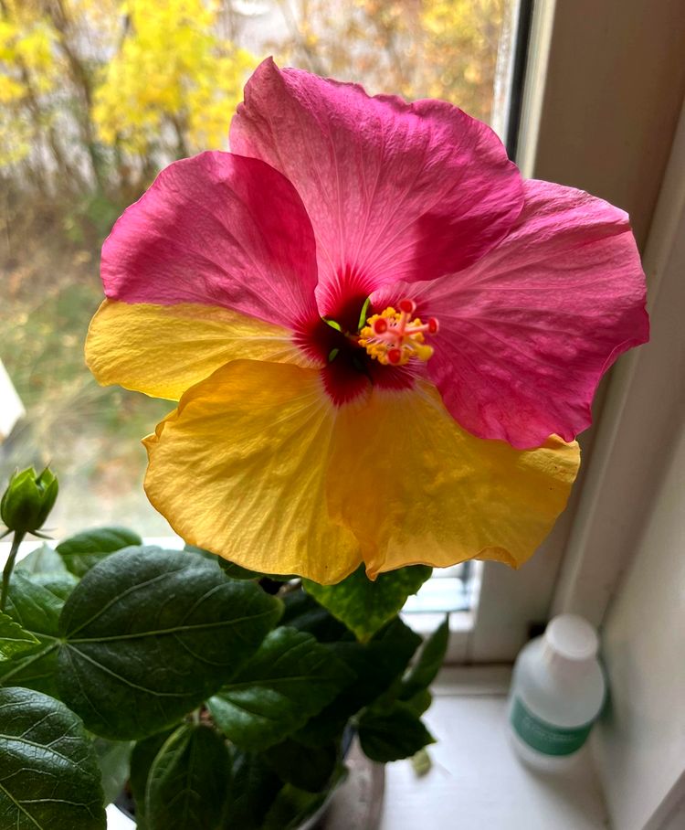 image-20230519121942-16