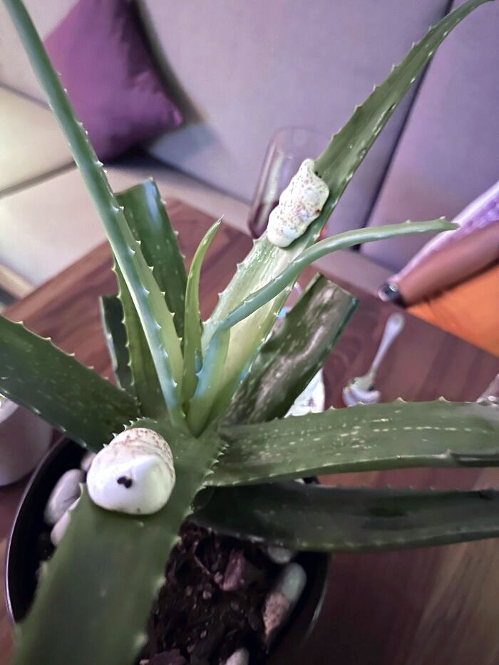 image-20230519171103-14