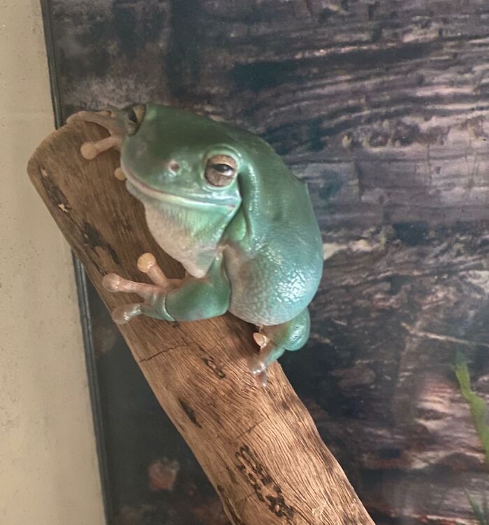 image-20230522111113-1