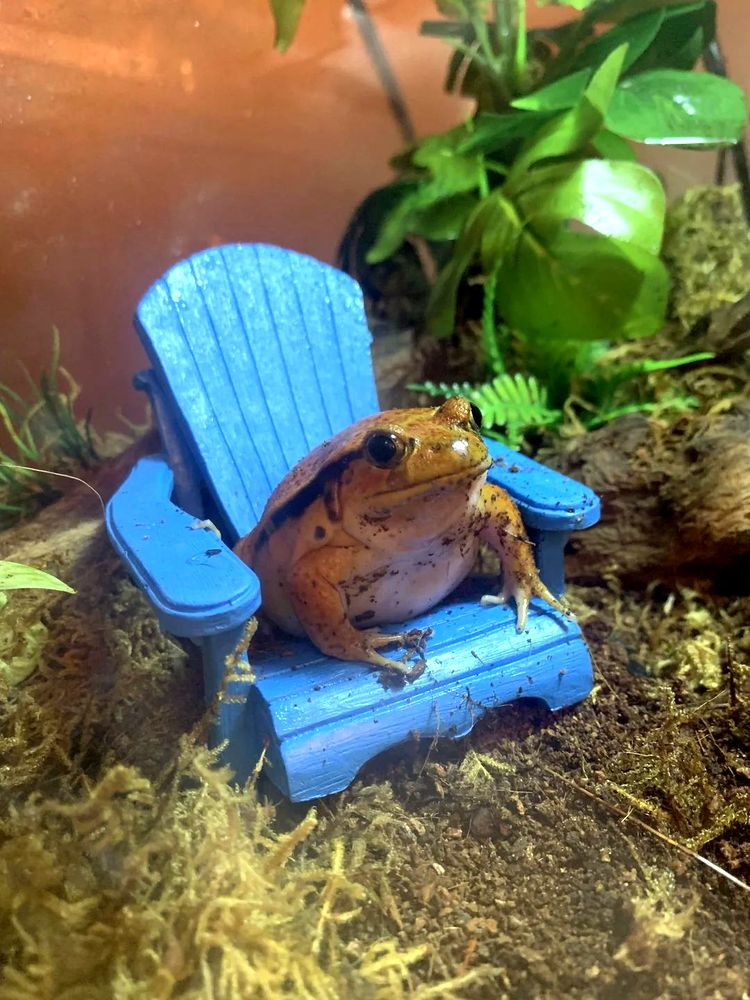 image-20230522111127-4