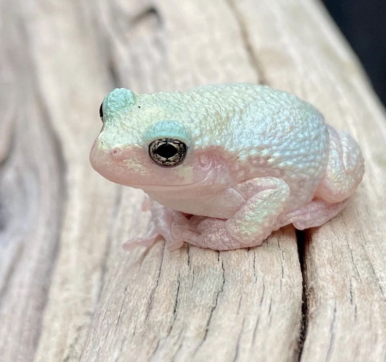 image-20230522111131-5