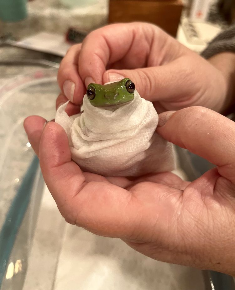 image-20230522111134-6