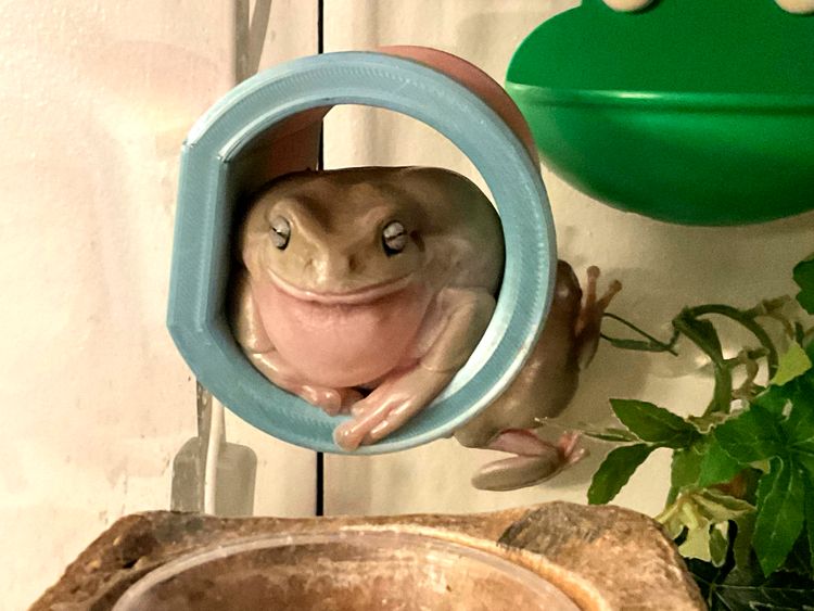 image-20230522111137-7