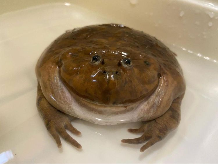 image-20230522111148-10