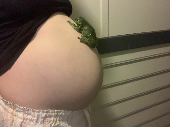 image-20230522111158-13