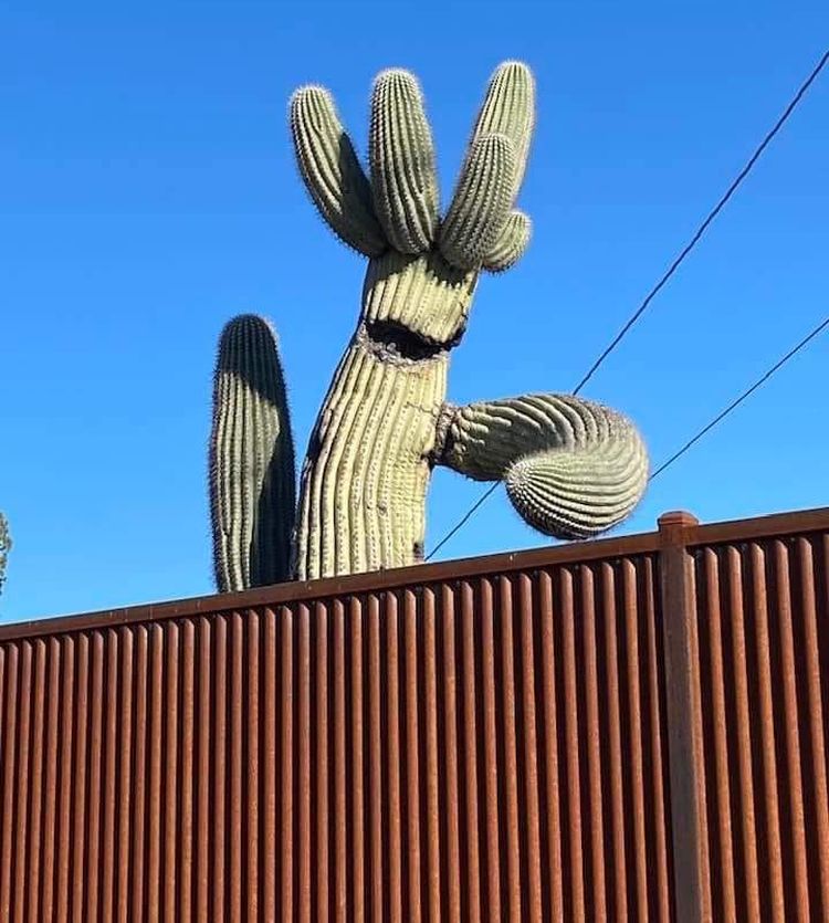 image-20230522124333-2