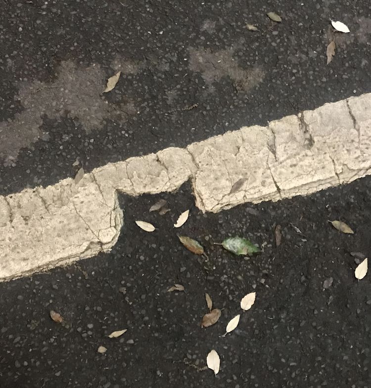 image-20230522124653-15