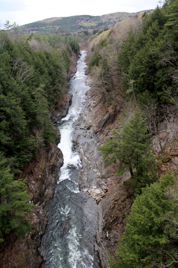 image-20230522145008-2