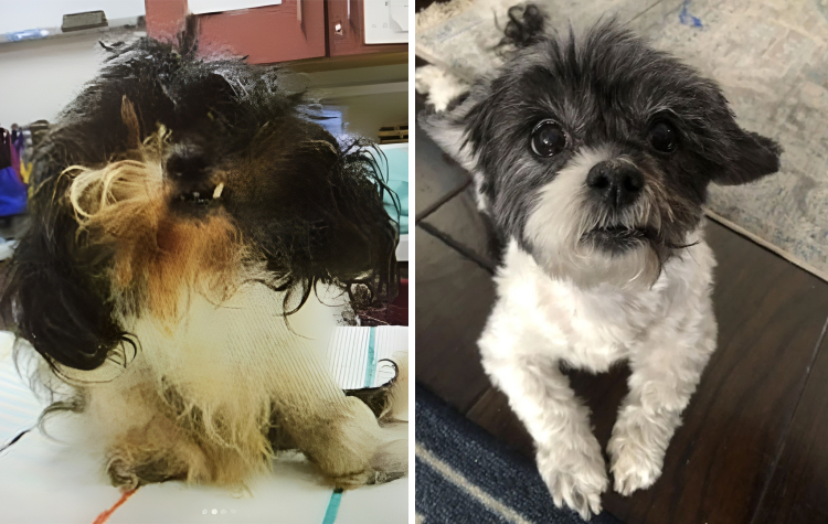 image-20230522161146-2