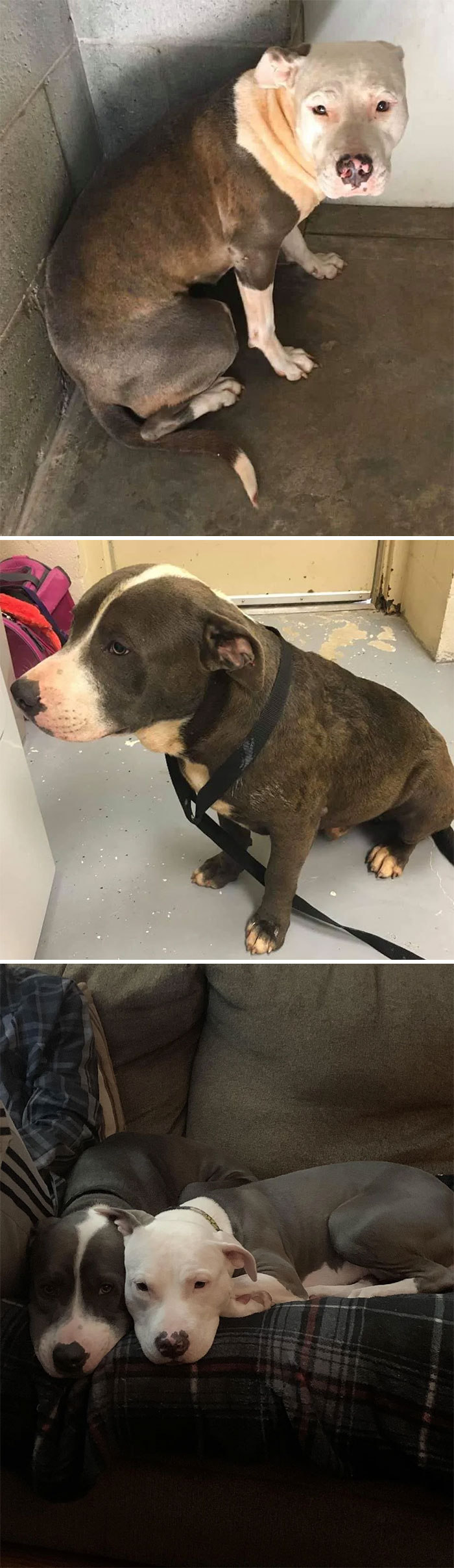 image-20230522161200-5