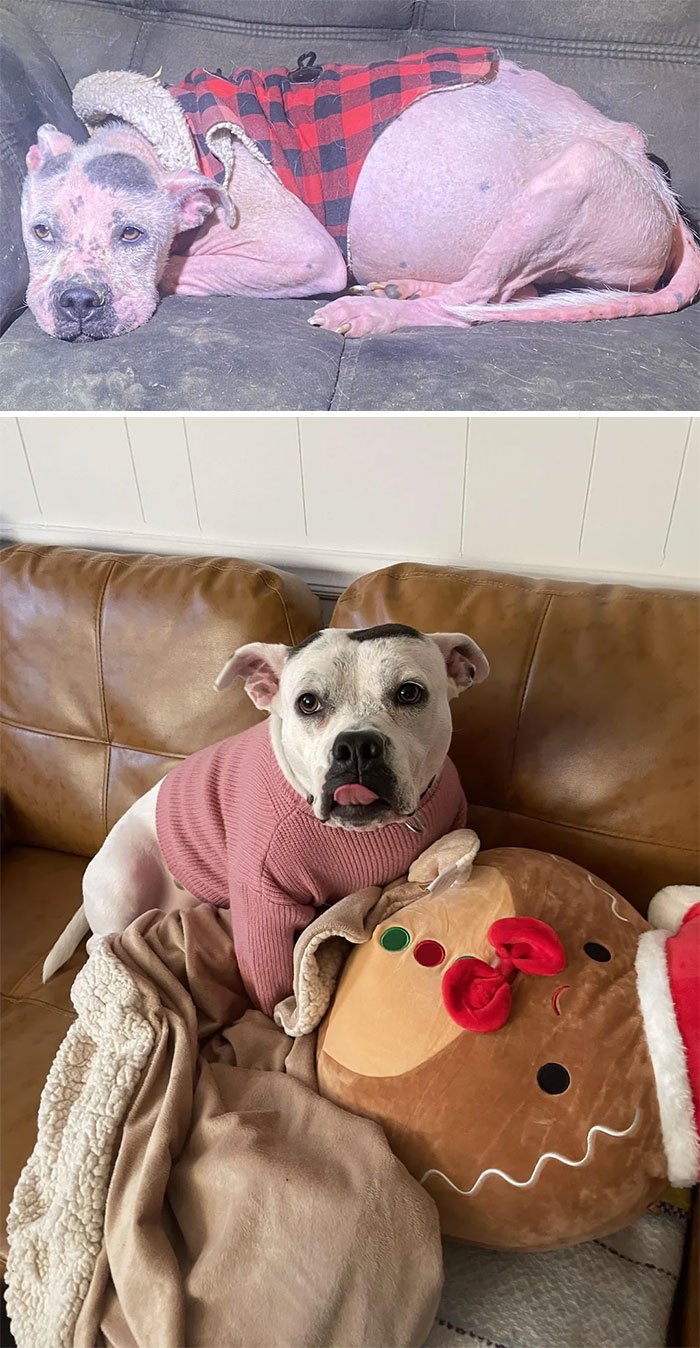 image-20230522161229-13