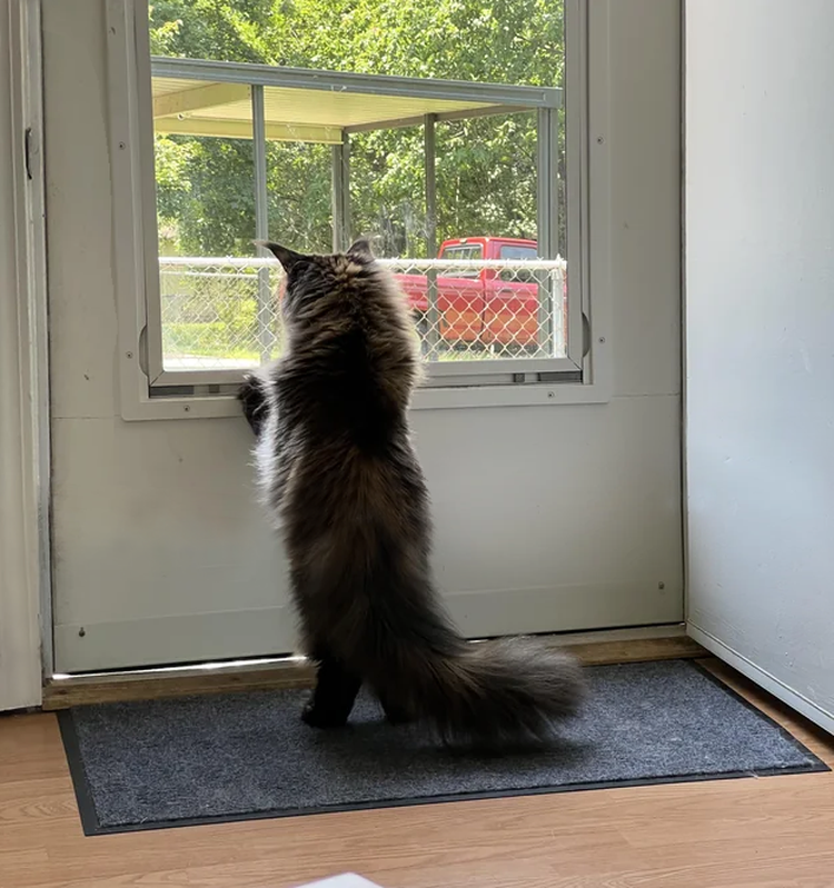 image-20230522163221-2