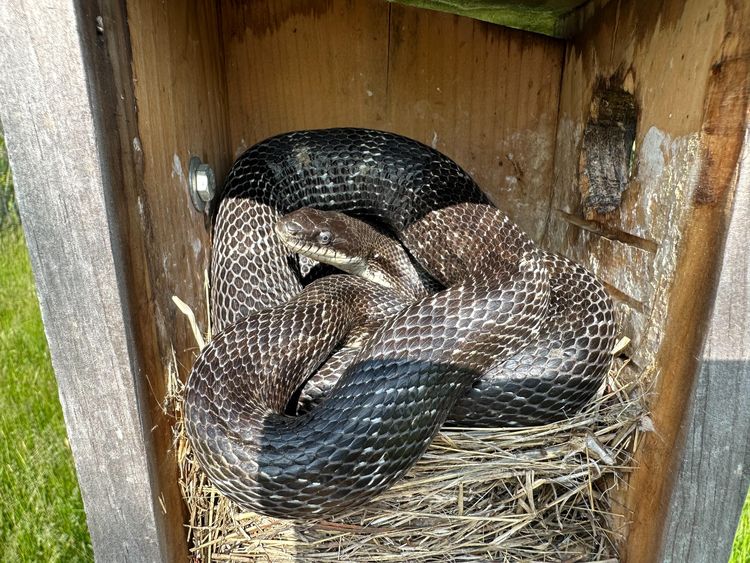 image-20230525160419-3