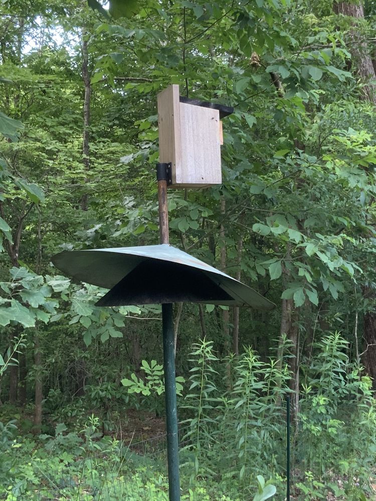 image-20230525160424-4