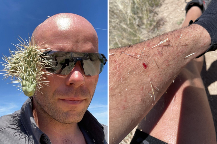 image-20230525160447-7