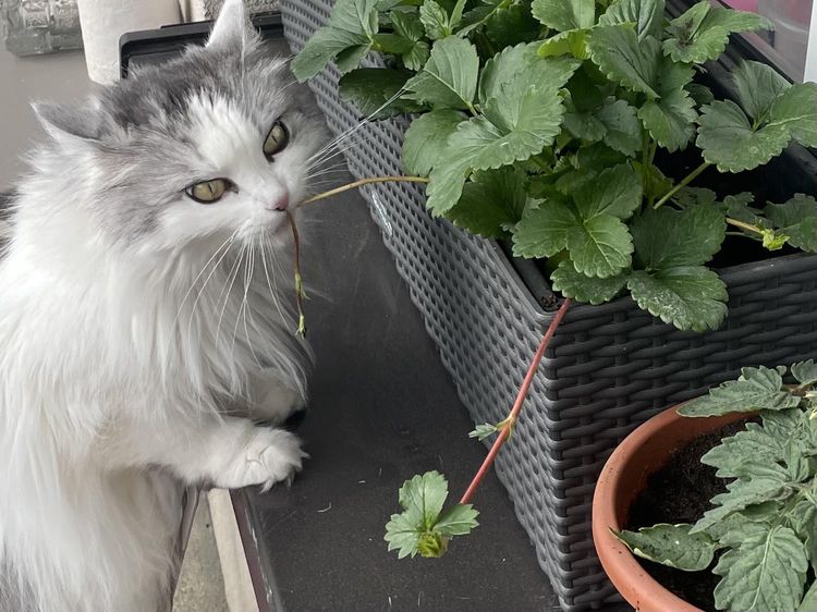 image-20230525173743-1